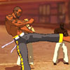 Play Capoeira Fighter 3