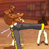 Capoeira Fighter 3