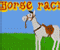 Play Horse Racin