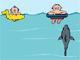 Sharkattack