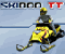 Play Skidoo TT