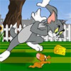 Tom And Jerry Mouse About The House