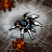 Arachnid Wars 15