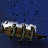 Cutlass Reef