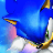 Sonic Xtreme 20